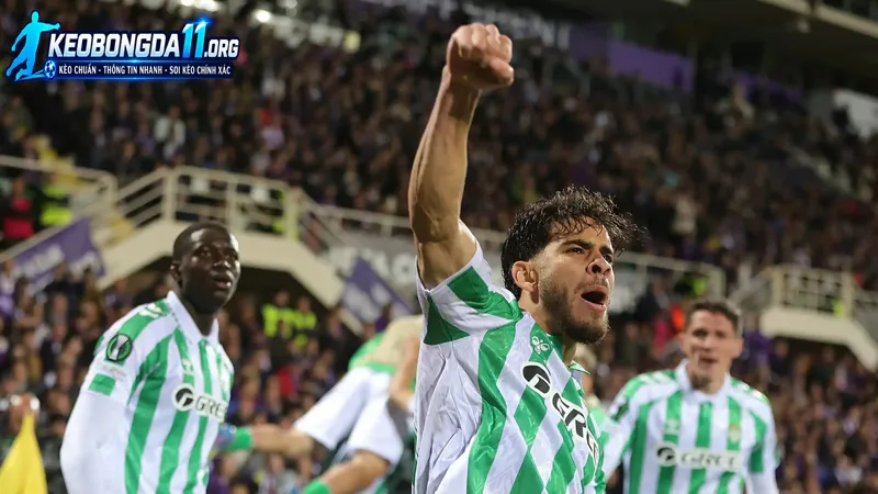 phong do truoc tran cua real betis vs feyenoord