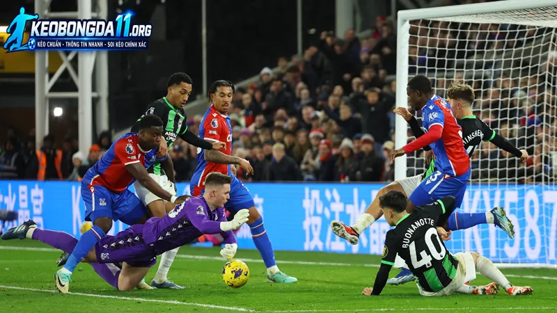 thuc luc va phong do truoc tran cua brighton vs crystal palace