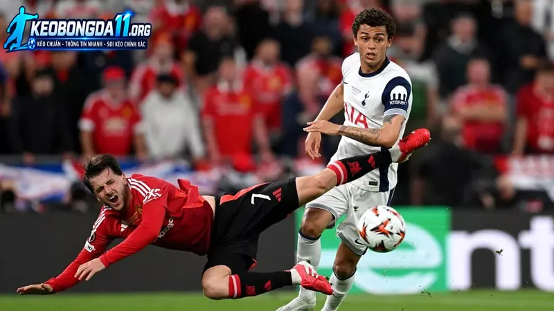 thuc luc va phong do truoc tran cua manchester utd vs tottenham