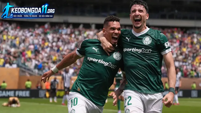 thuc luc va phong do truoc tran cua palmeiras vs bahia