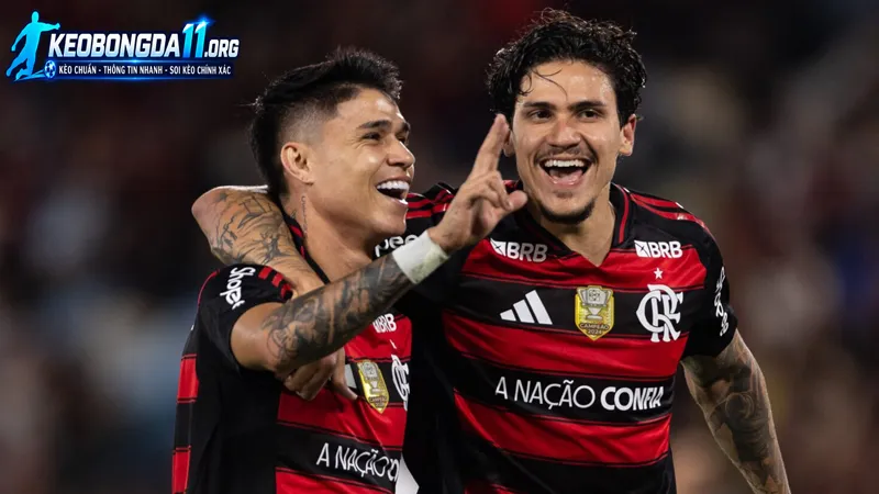 thuc luc va phong do truoc tran cua santos vs flamengo rj
